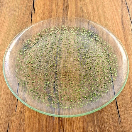 Red Pomegranate Collection 11 in. Isla Dinner Plate, Clear & Gold 0962-1